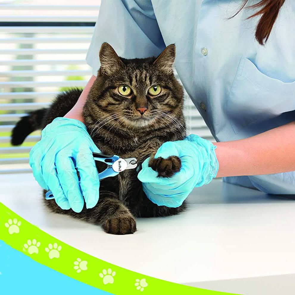 Cat & Dog Nail Clippers & Trimmers with Safety Guards DailySale
