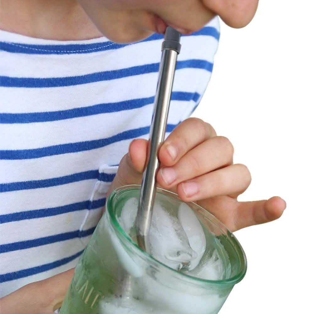 Collapsable Telescopic Reusable Drinkable Straw DailySale