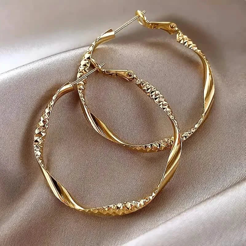 Delicate Silky Texture Design Women's Earrings DailySale