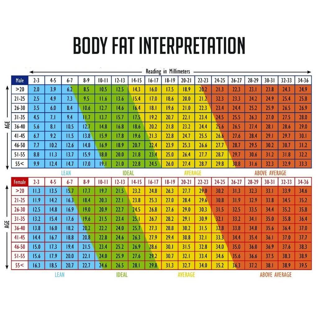 Digital Caliper Body Fat Anlyzer DailySale