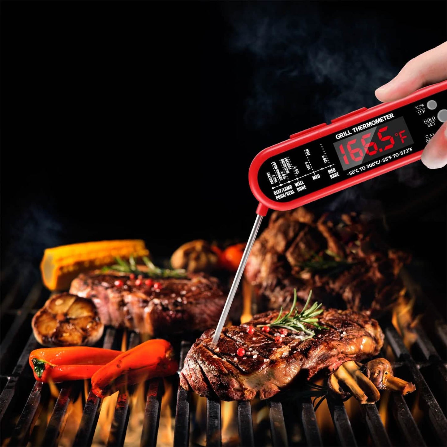 Digital Thermometer BBQ Meat Food Cooking Temperature Tester DailySale