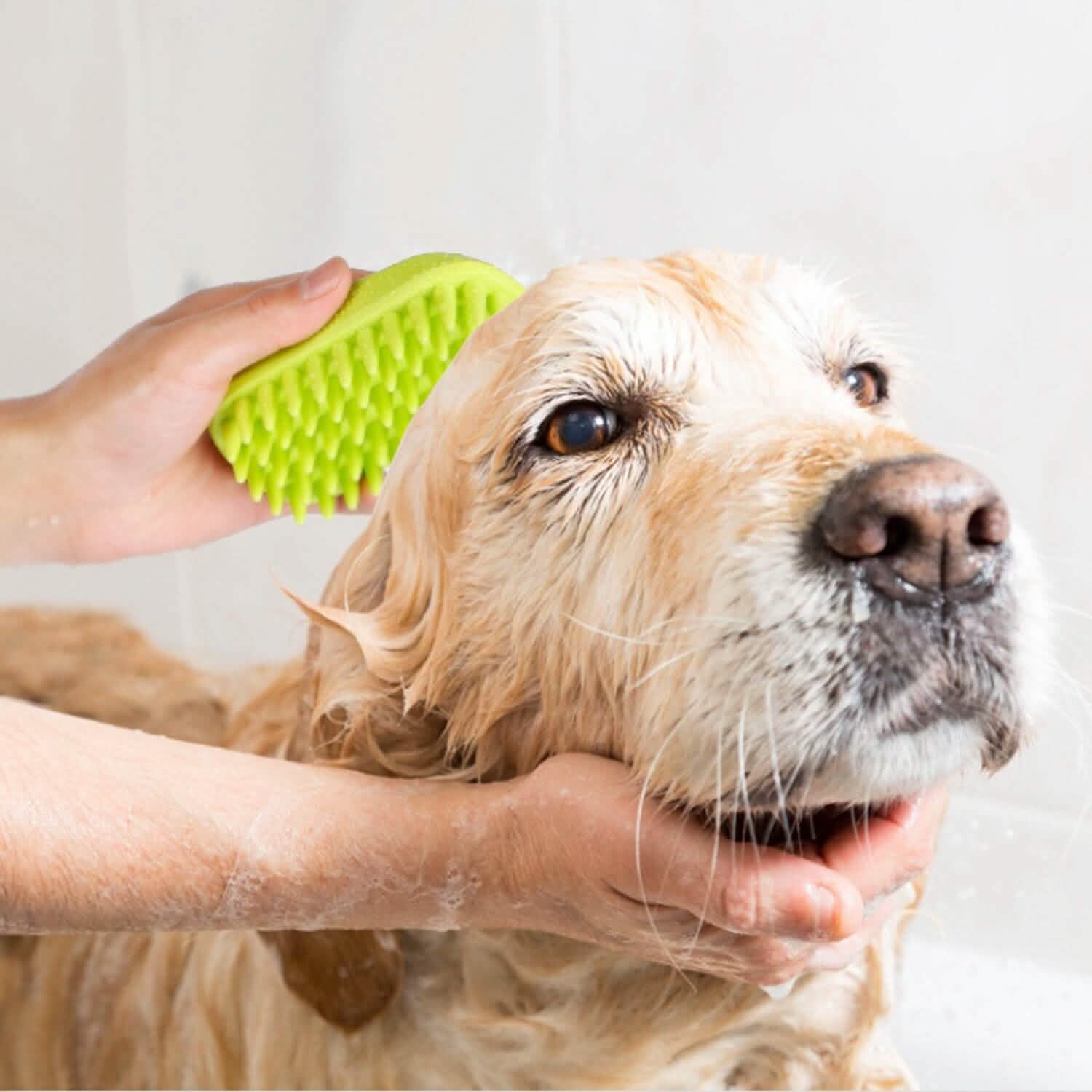 Dog Bath Brush Anti-Skid Pet Grooming Shower Silicone Massage Comb DailySale