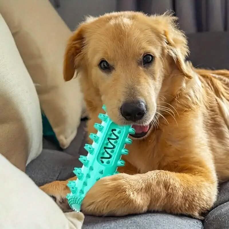 Dog Chew Toys Dog Toothbrush Stick DailySale
