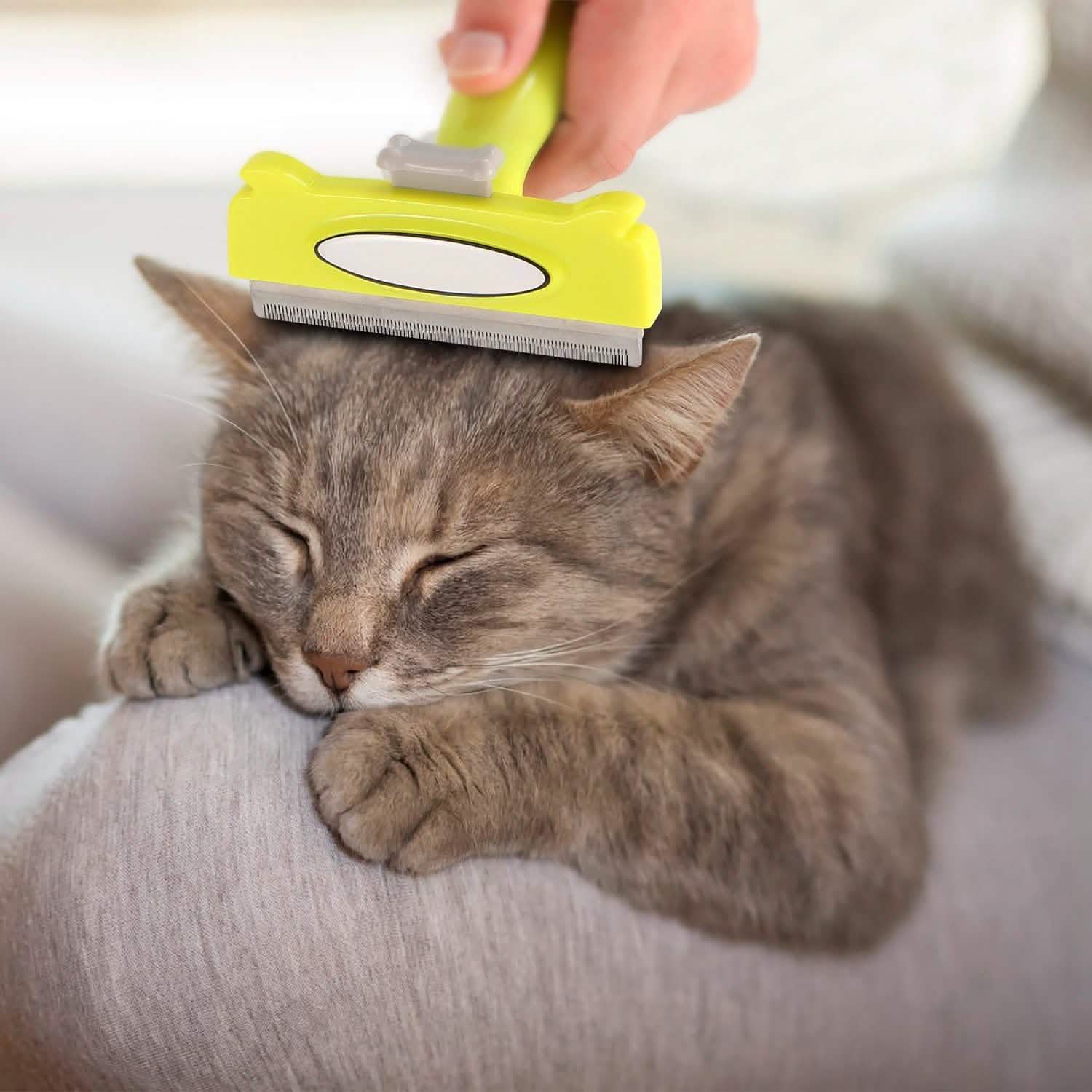 Dog Grooming Brush Comb Pet Hair Remover DailySale