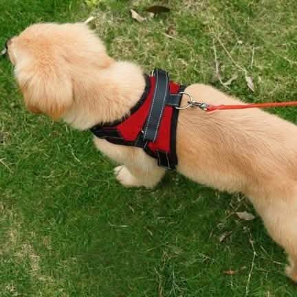 Dog Soft Adjustable Harness DailySale