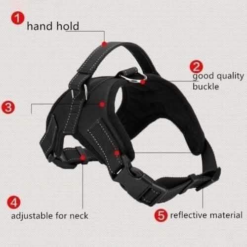 Dog Soft Adjustable Harness DailySale