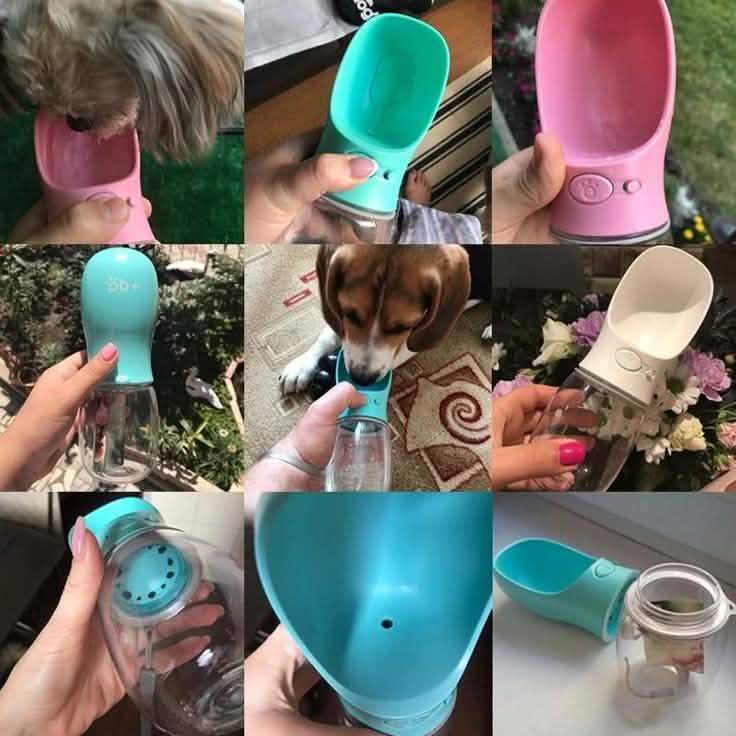 Doggy Bottle DailySale