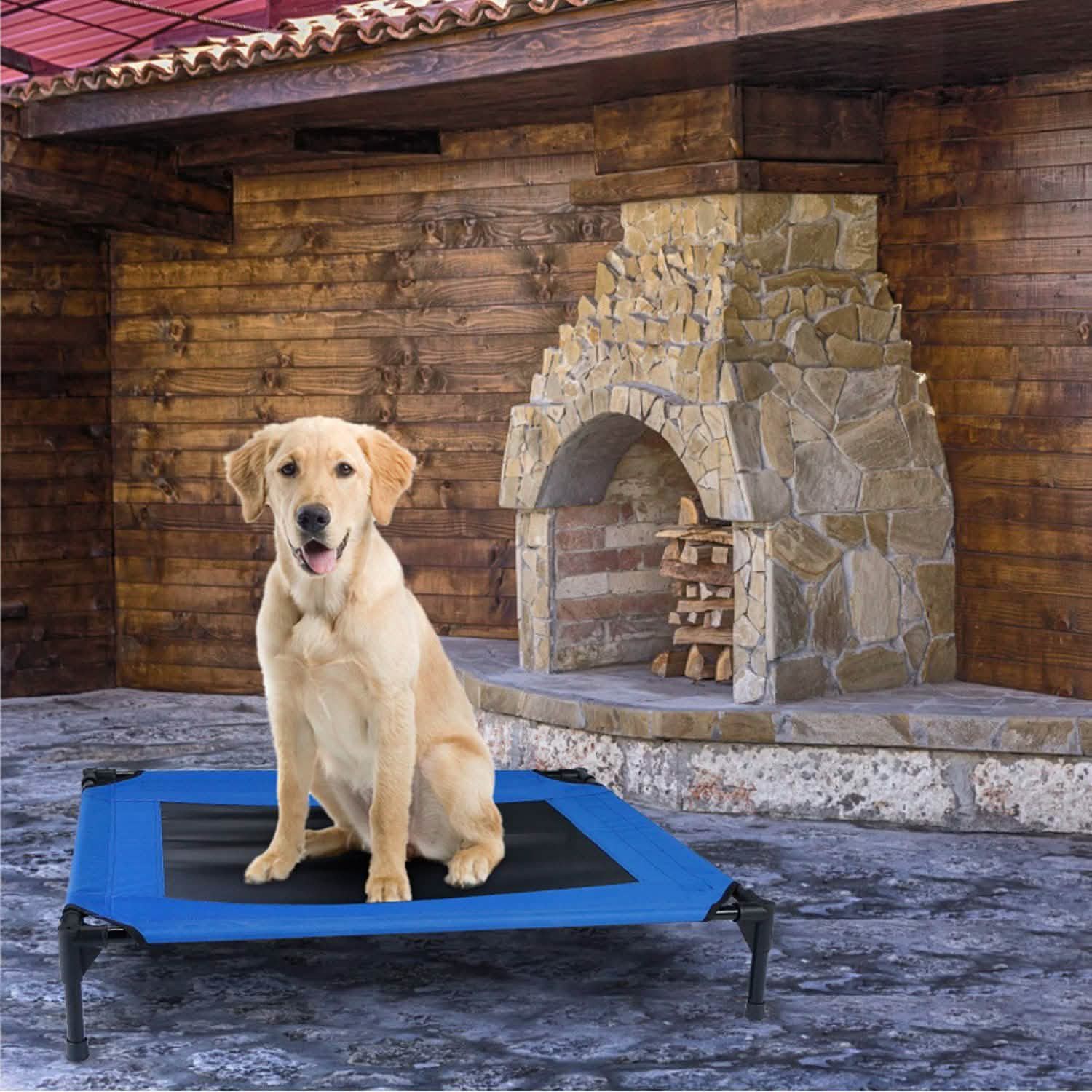 Elevated Dog Cot Bed DailySale