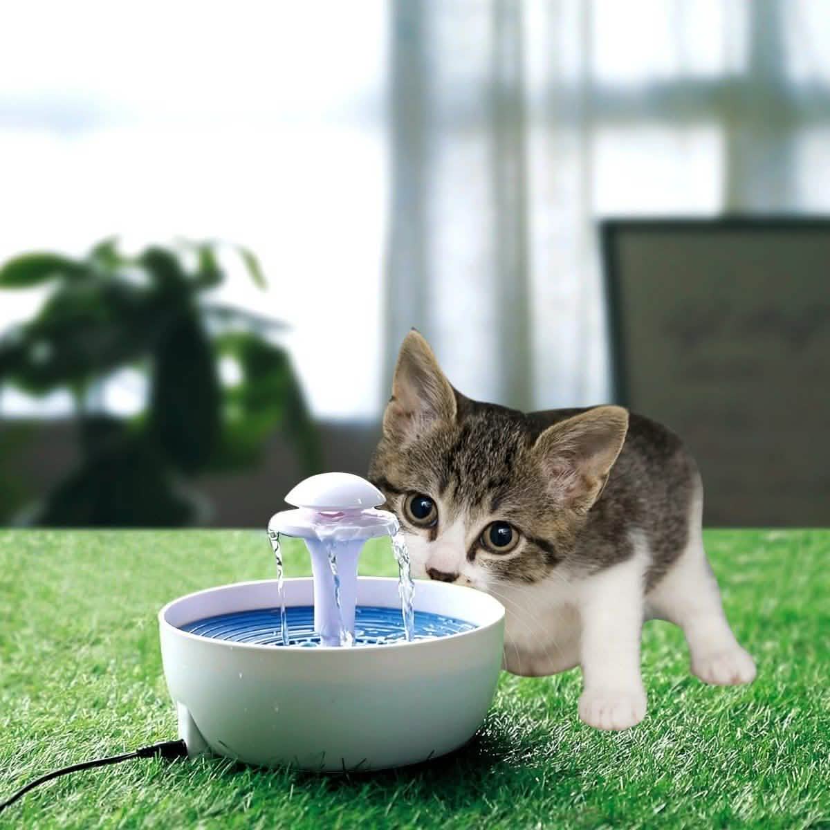 Ez Pet Automatic Water Fountain  for Pets DailySale