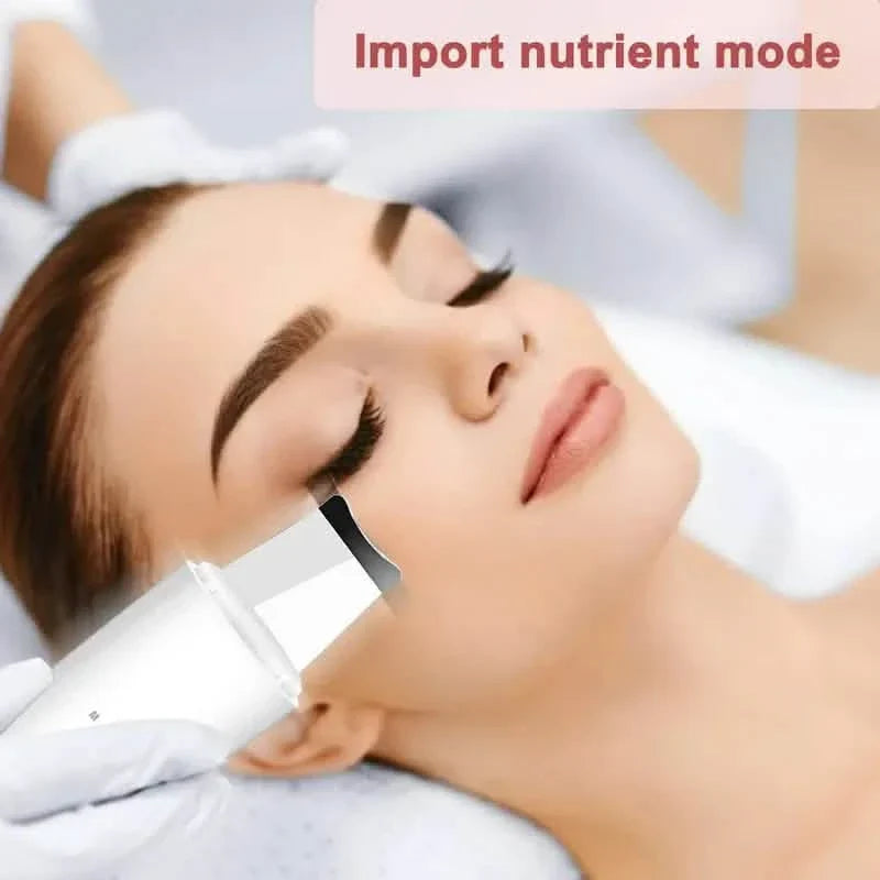 Facial Blackhead Removal Pore Cleaning Skin Scraper Tool DailySale