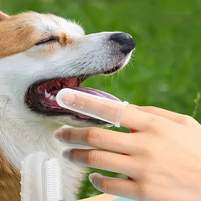 Finger Toothbrush For Dogs and Cats DailySale