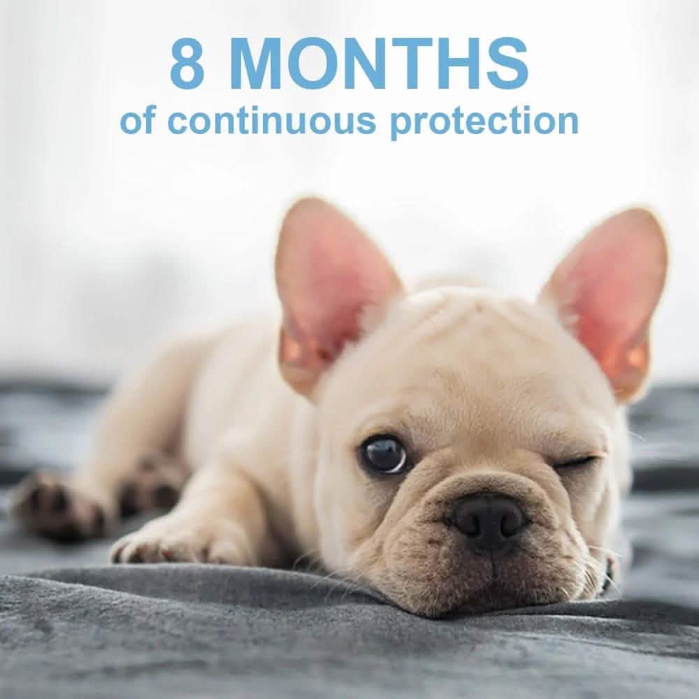 Flea Collar Dogs 8-month Flea and Tick Prevention for Dogs 3 Months of Age and Older DailySale