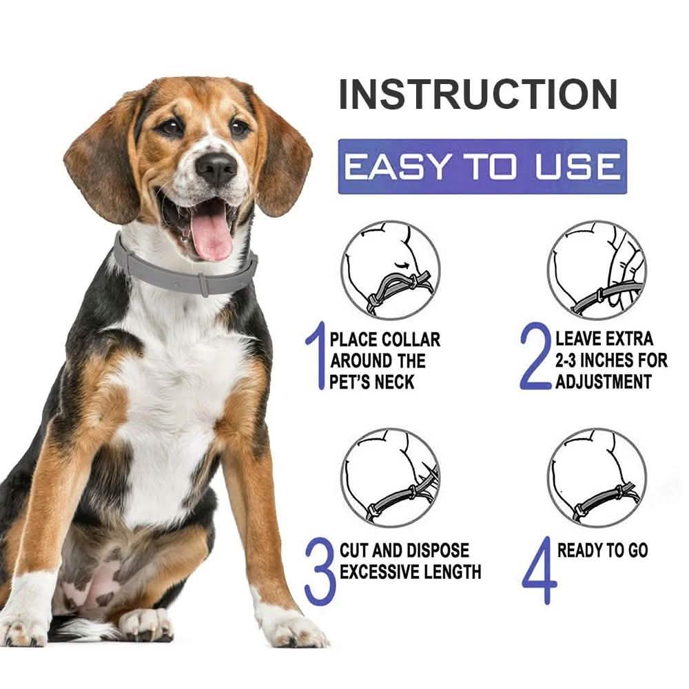 Flea Collar Dogs 8-month Flea and Tick Prevention for Dogs 3 Months of Age and Older DailySale