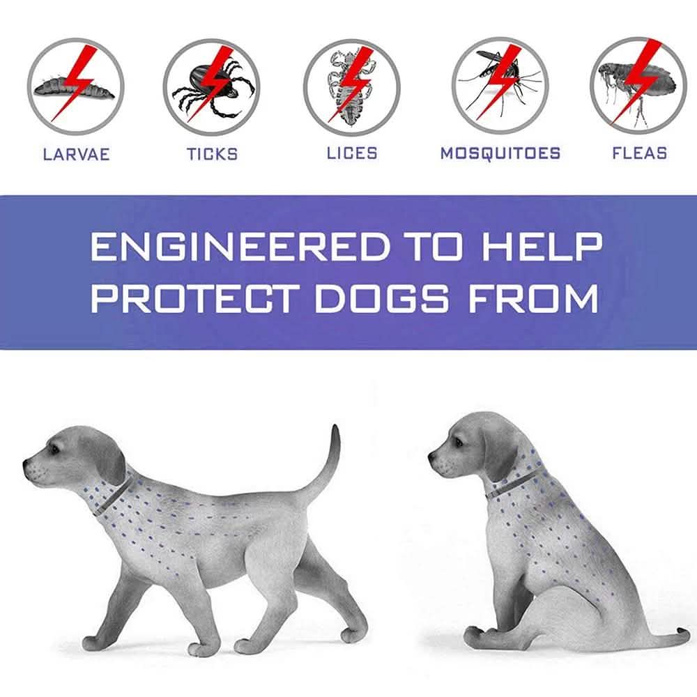 Flea Collar Dogs 8-month Flea and Tick Prevention for Dogs 3 Months of Age and Older DailySale