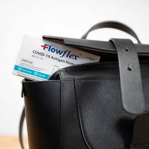 Flowflex COVID-19 Antigen Rapid Home Test Kit DailySale