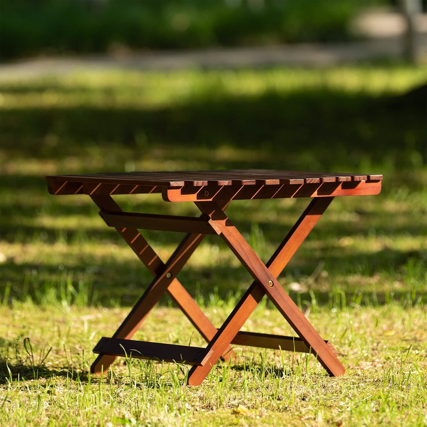 Folding Tray Table DailySale