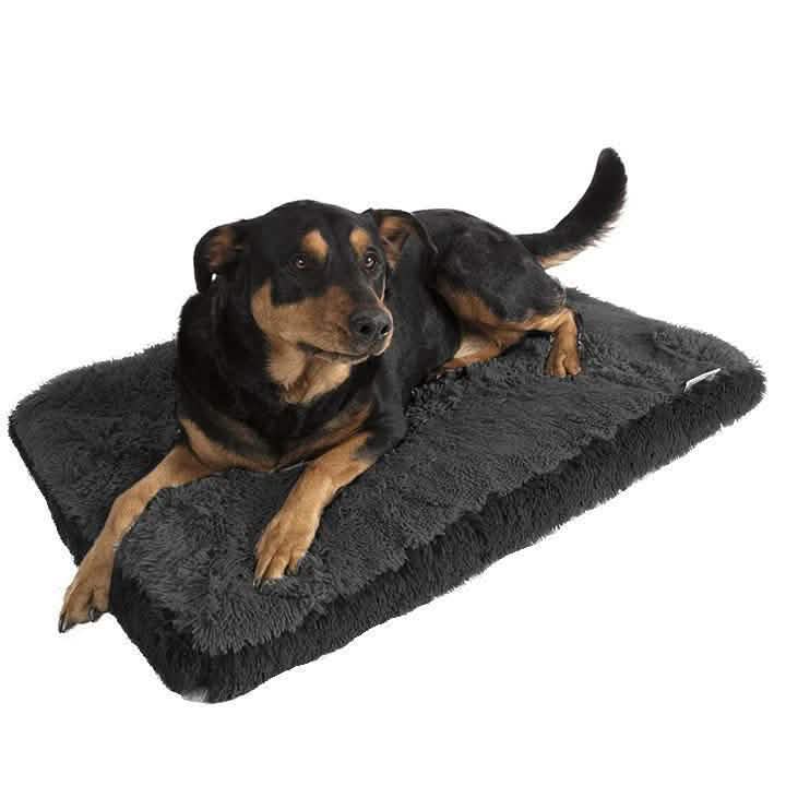 Fuzzy Pet Bed DailySale