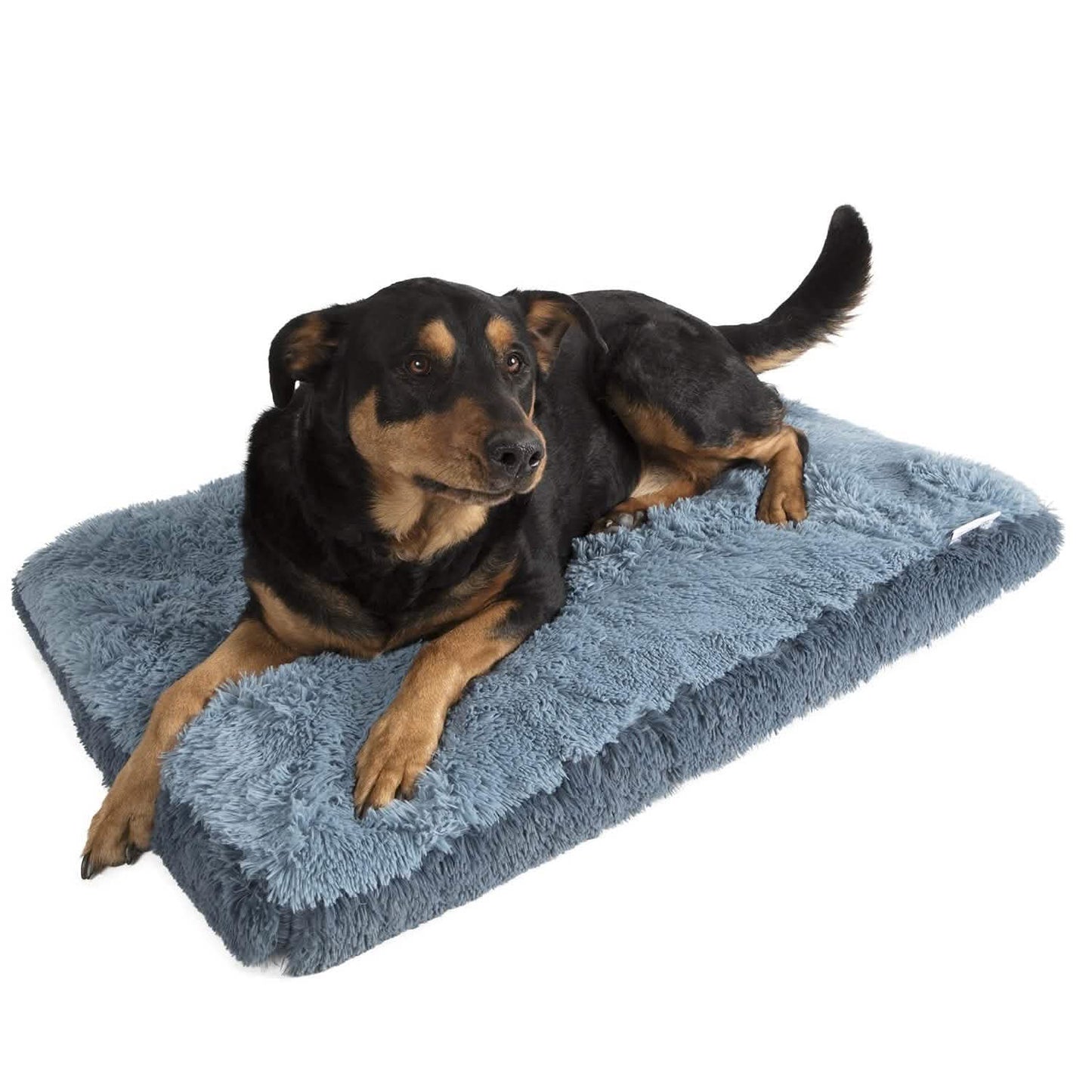Fuzzy Pet Bed DailySale
