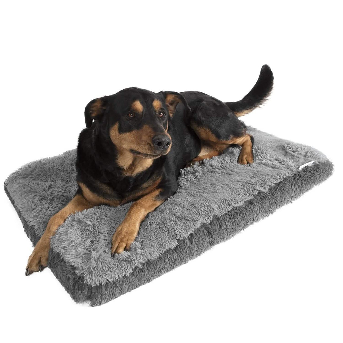 Fuzzy Pet Bed DailySale
