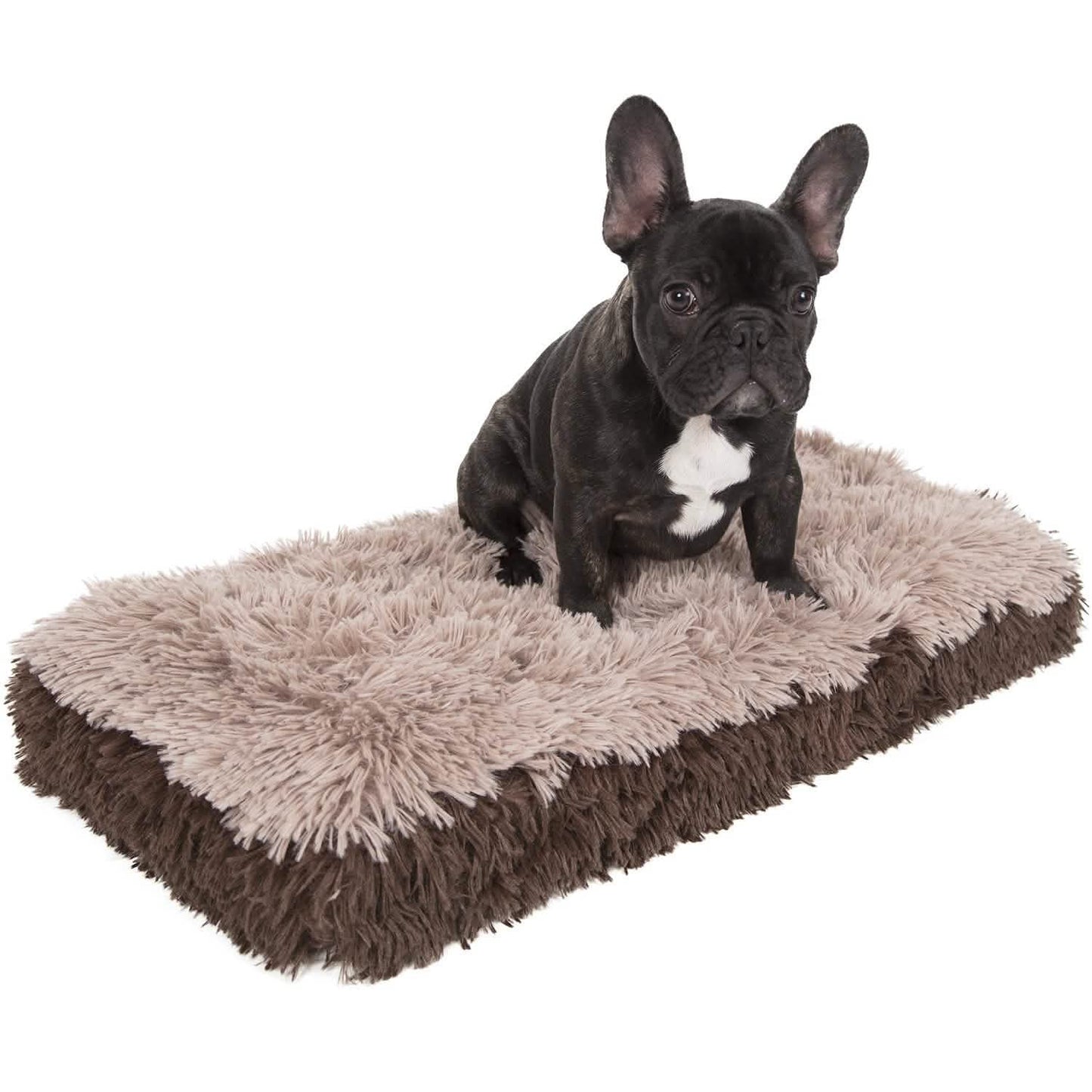 Fuzzy Pet Bed DailySale