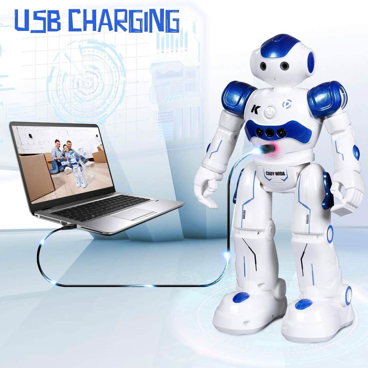 Gesture Sensing Remote Control Robot Toy for Kids DailySale