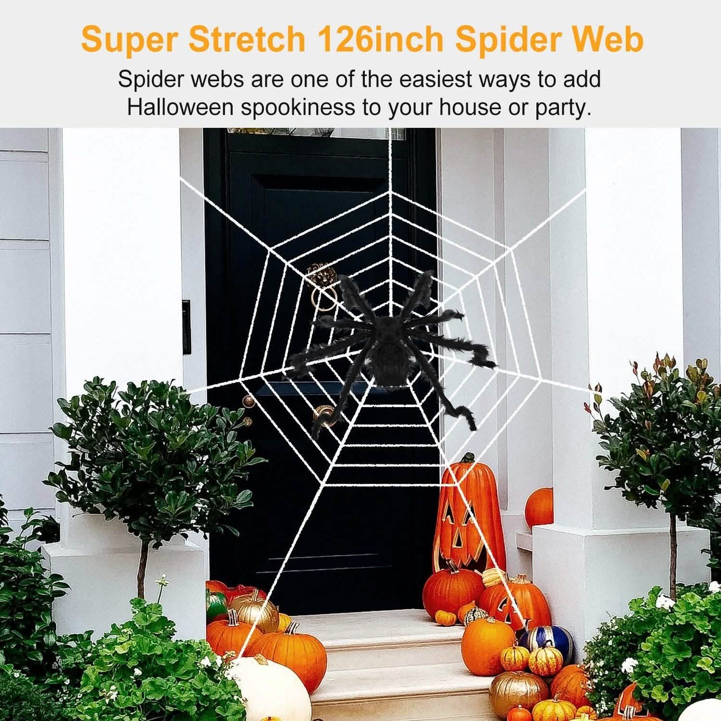 Halloween Decorations Spider 49" with 126" Tarantula Mega Spider Web DailySale