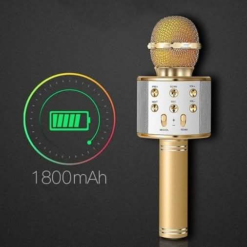 Karaoke Handheld Wireless Bluetooth Microphone DailySale