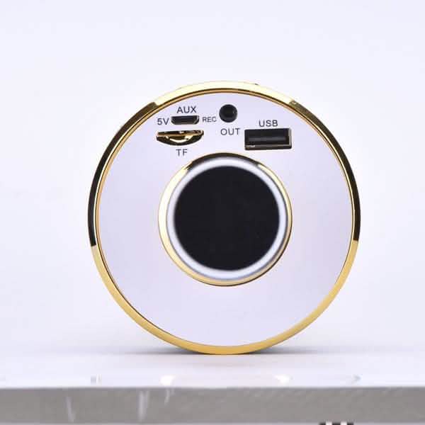 Karaoke Handheld Wireless Bluetooth Microphone DailySale
