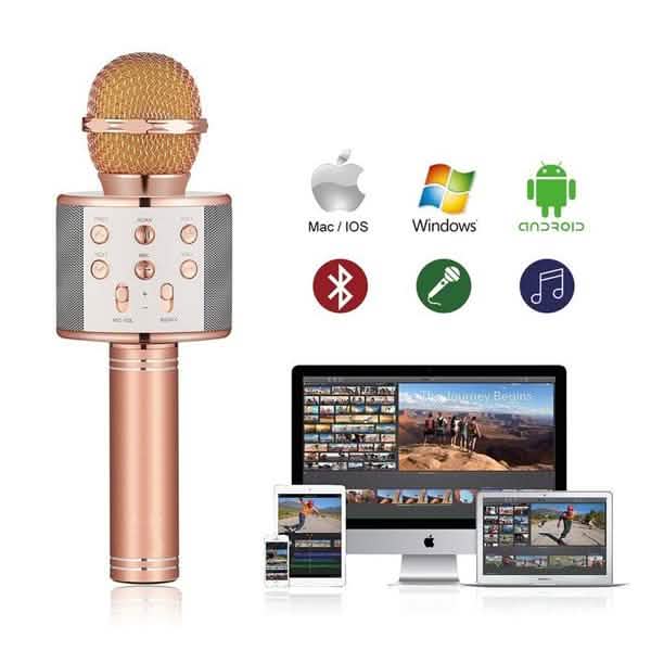 Karaoke Handheld Wireless Bluetooth Microphone DailySale