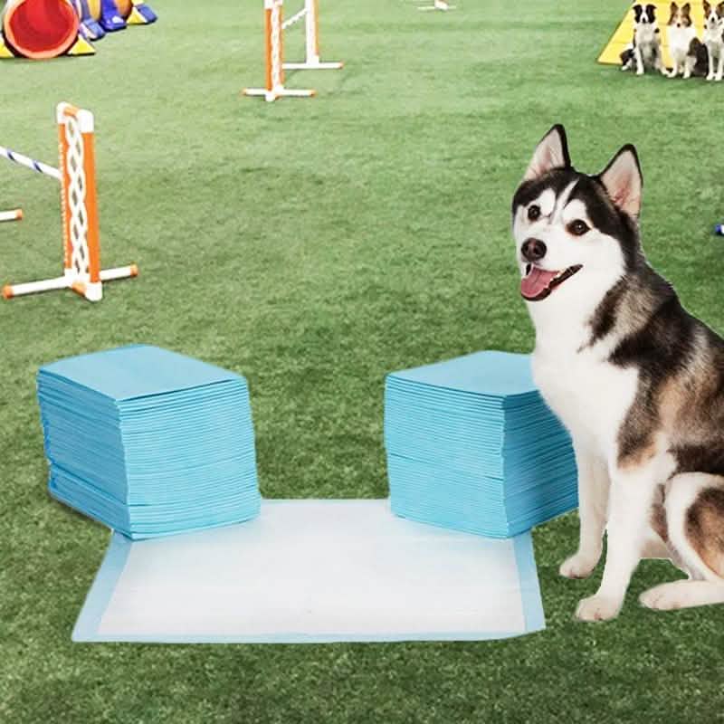 Heavy-Duty Training Pads for Pets DailySale