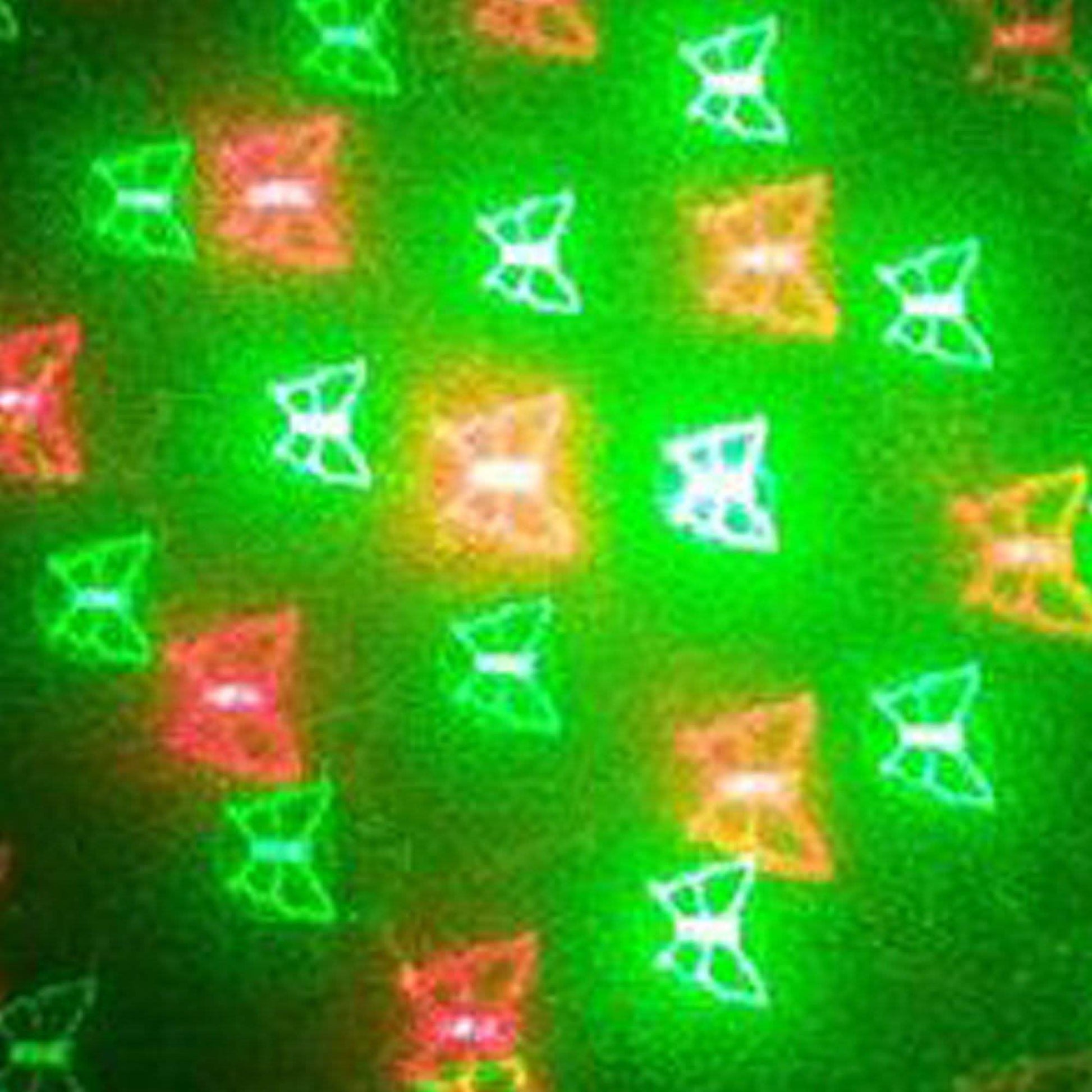 Holiday Light Projectors with Red and Green 12 Patterns DailySale
