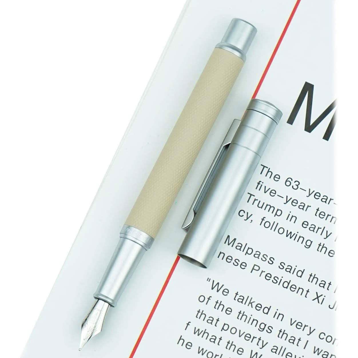 Hongdian Silver Birch Forest Fountain Pen DailySale