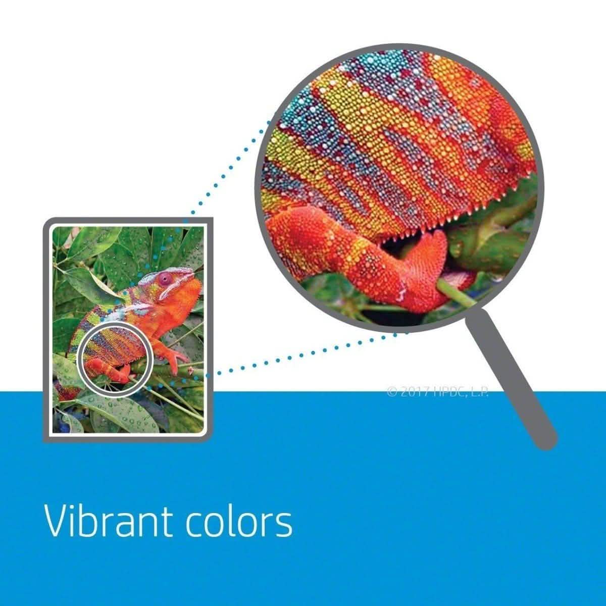 HP 65 Tri-color Original Ink Cartridge DailySale