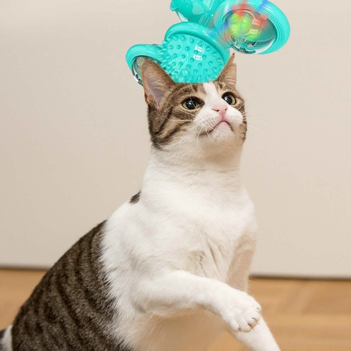 Interactive Massage Scratching Tickle Toy With Catnip And Led Ball For Indoors Cats DailySale