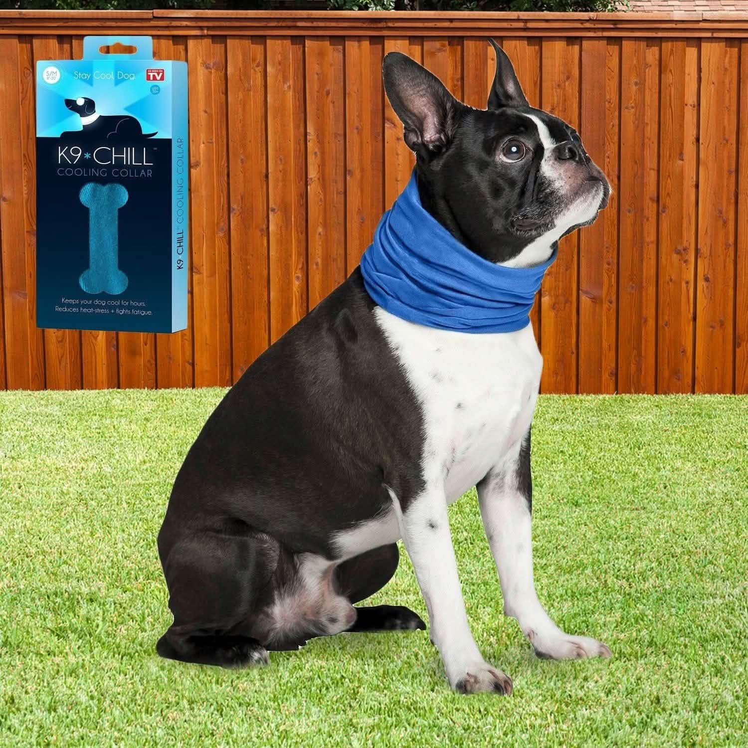 K9 Chill Dog Cooling Collar DailySale