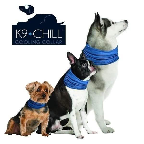 K9 Chill Dog Cooling Collar DailySale
