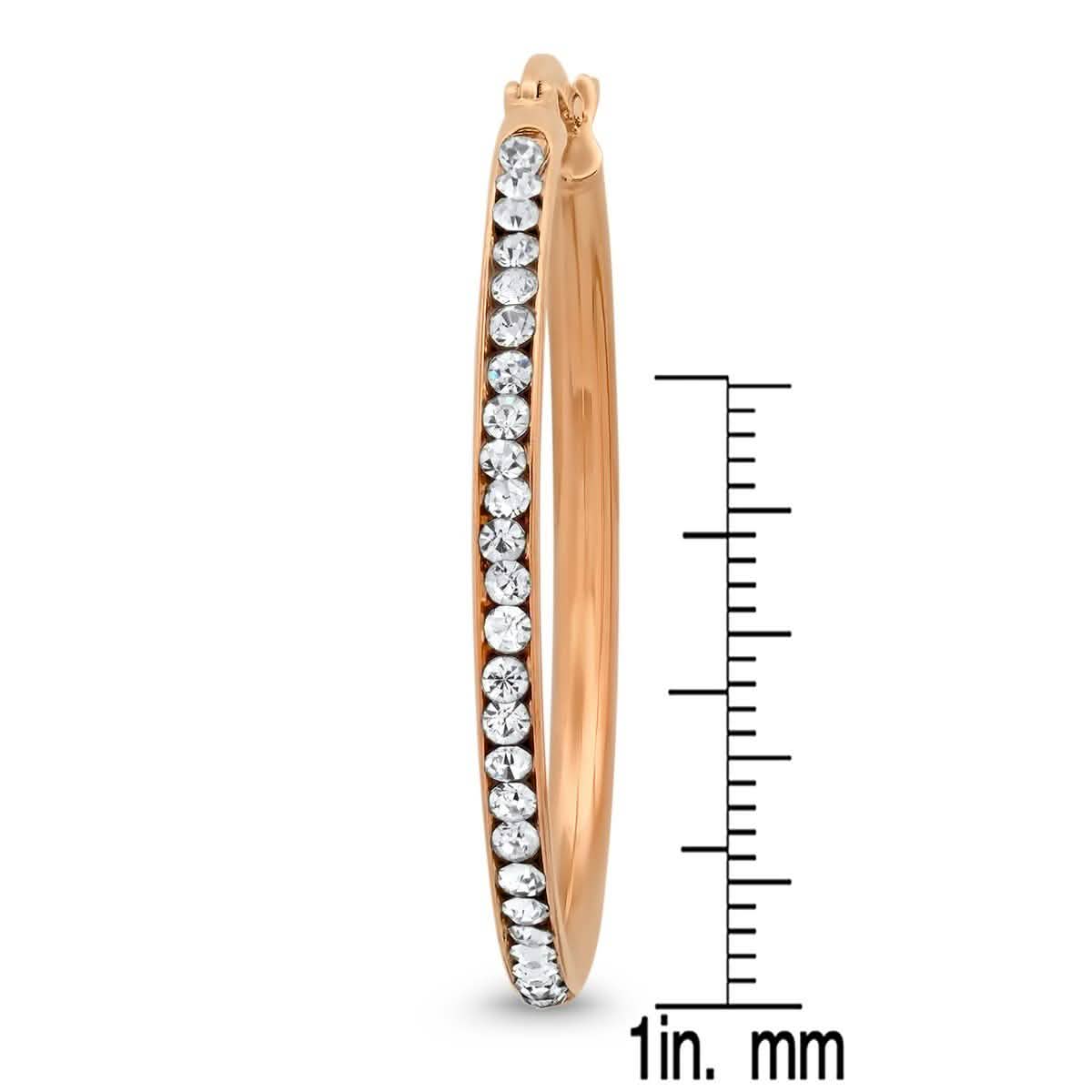 Ladies Stainless Steel And Simulated Diamonds Hoop Earrings DailySale