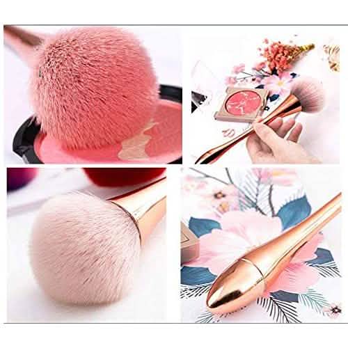 Large Powder Mineral Brush DailySale
