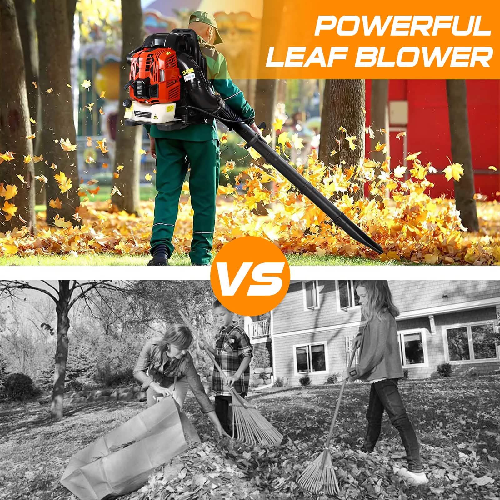 Leaf Blower Gas Powered Backpack DailySale