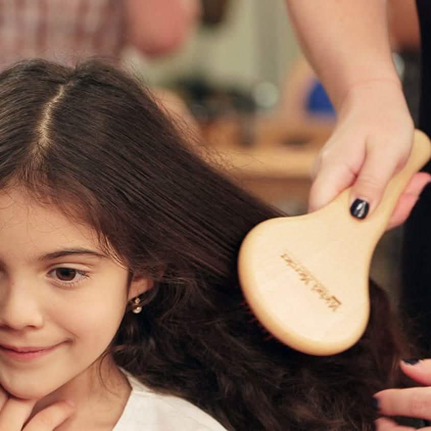 Michel Mercier Wood Crafted Detangling Hair Brush DailySale