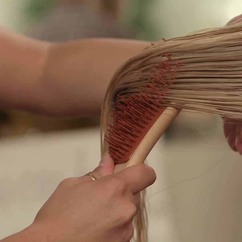 Michel Mercier Wood Crafted Detangling Hair Brush DailySale