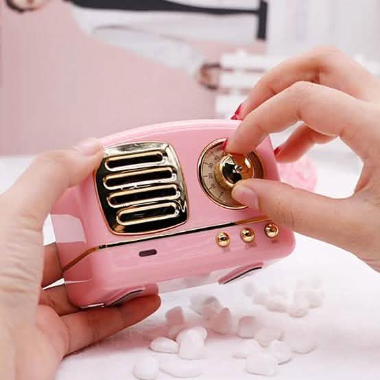 Mini Portable Bluetooth Speaker DailySale
