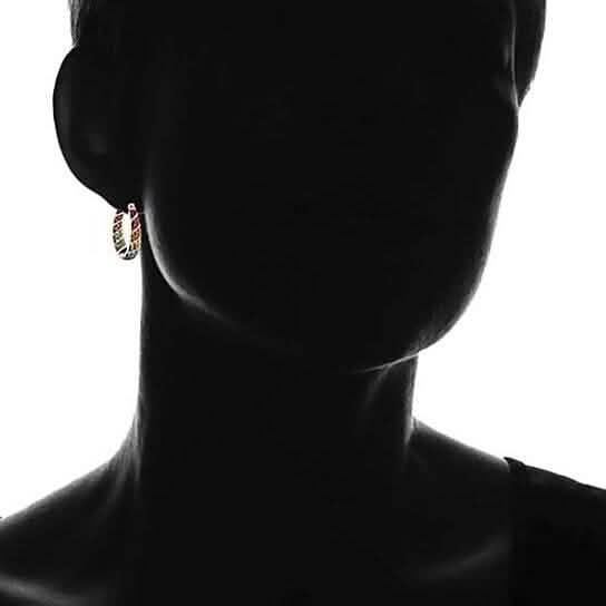 Multi Color Graduated Crystal Inside Out Hoops DailySale