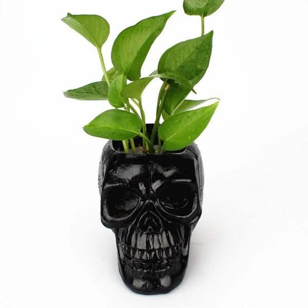 Multifunction Creative Skull Storage Stationery Holder DailySale