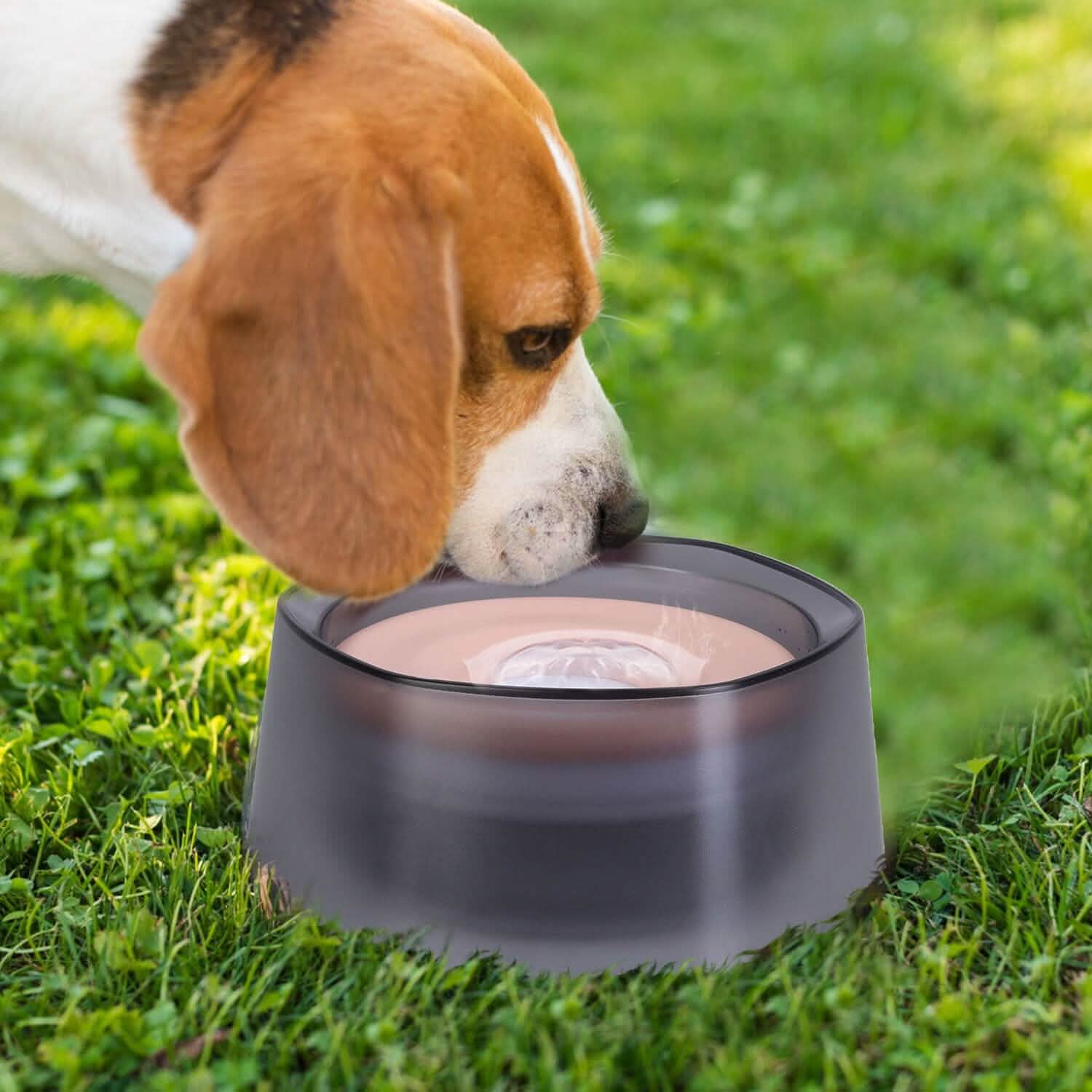 No Spill Dog Cat Water Bowl Spill Proof Slow Water Feeder DailySale
