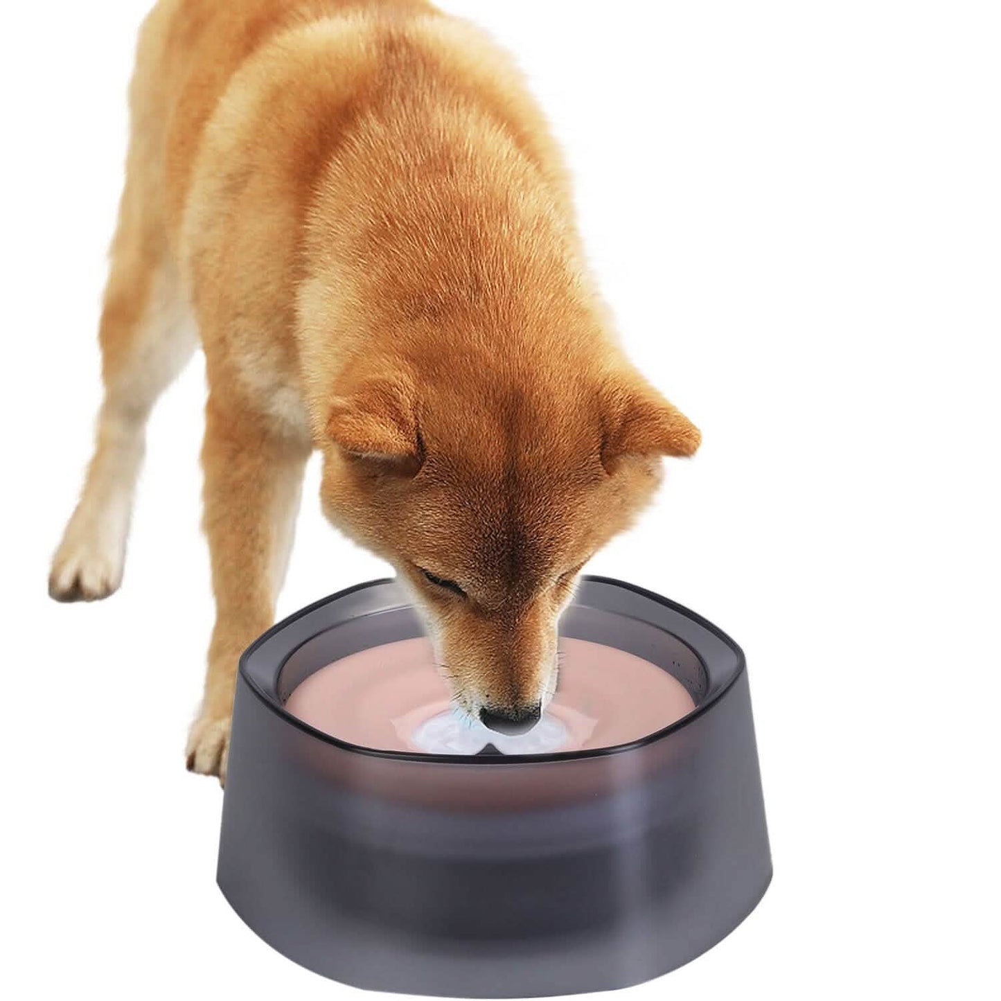 No Spill Dog Cat Water Bowl Spill Proof Slow Water Feeder DailySale