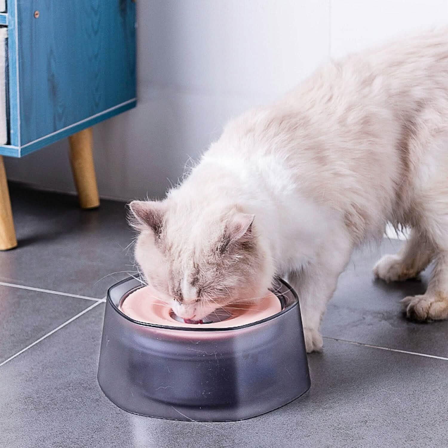 No Spill Dog Cat Water Bowl Spill Proof Slow Water Feeder DailySale