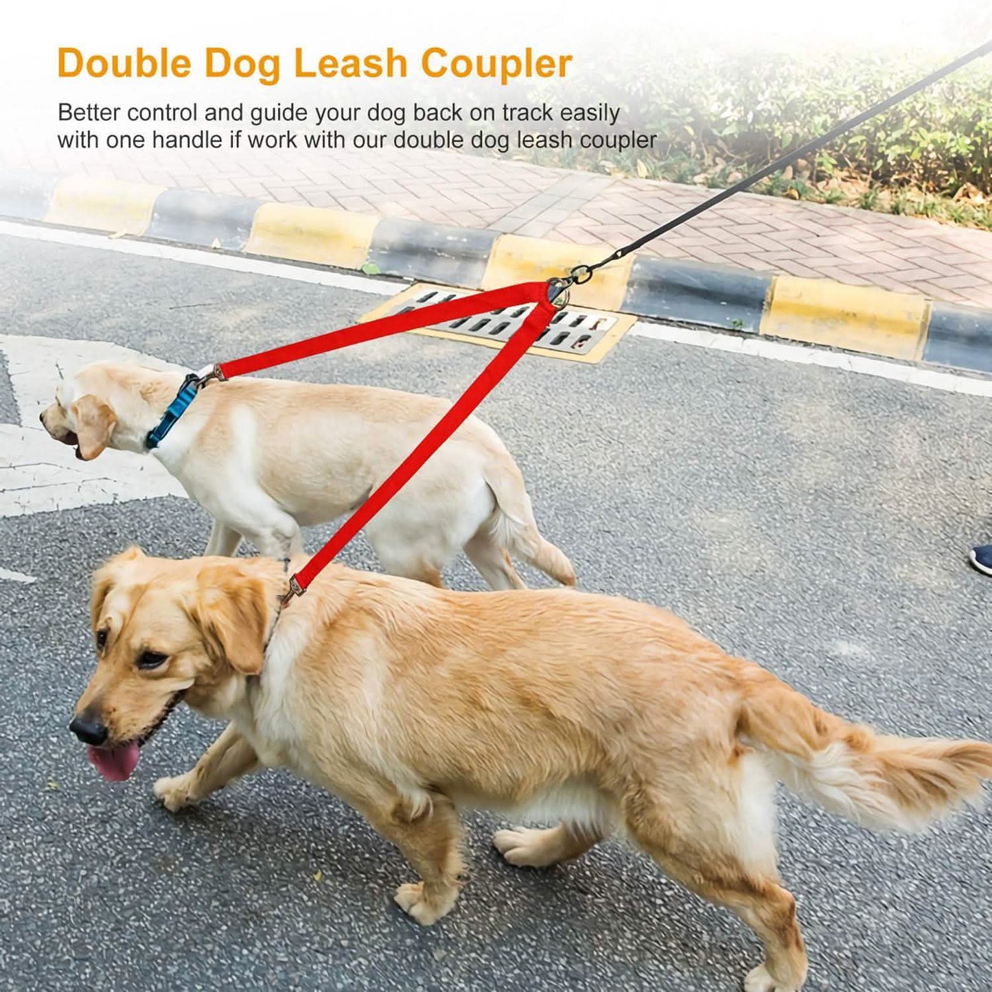 No-Tangle Dual Dogs Leash DailySale