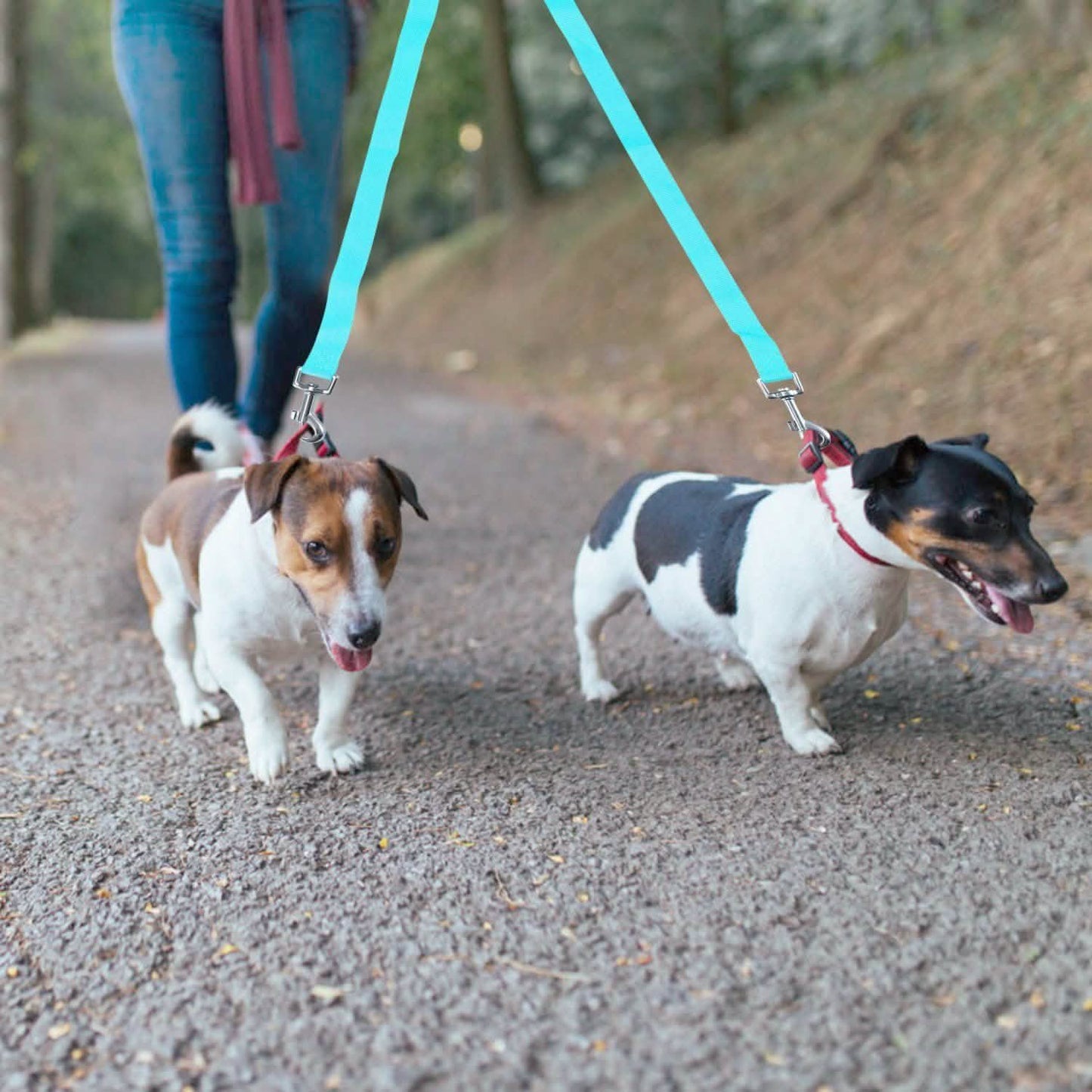 No-Tangle Dual Dogs Leash DailySale
