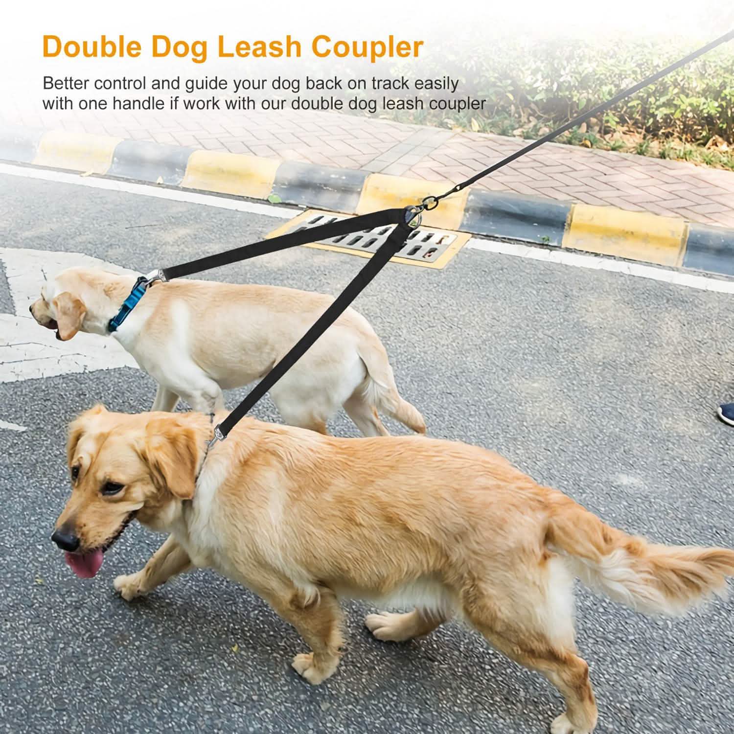 No-Tangle Dual Dogs Leash DailySale